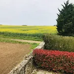 Ambre A La Rochelle *