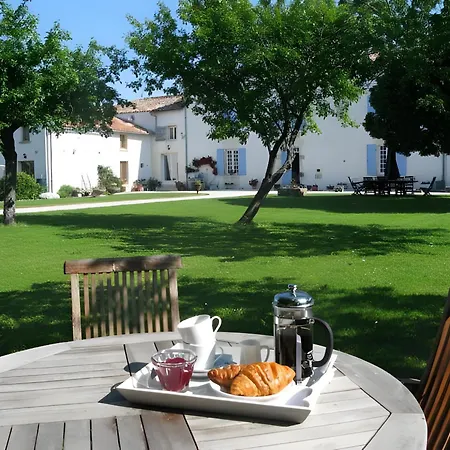 Ambre A La Rochelle * Vergné