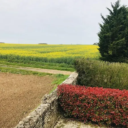 Ambre A La Rochelle