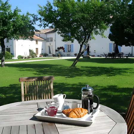 Ambre A La Rochelle * Vergné