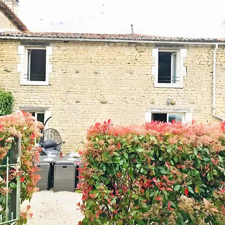 Ambre A La Rochelle * Vergné