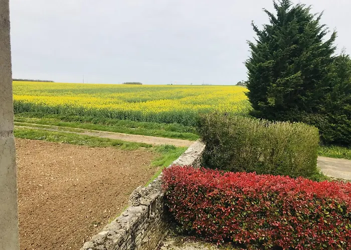 Ambre à La Rochelle *